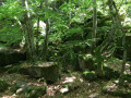 Rocher et mousses du chaos de Casteltinet Rocher et mousses du chaos de Casteltinet