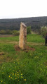 Rocher façon menhir