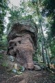 Roches de la Xaveure - La tête d'éléphant. Roches de la Xaveure - La tête d'éléphant.