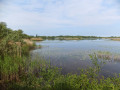 Rockland Broad