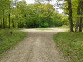 Le chemin du Maupas