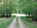 Le chemin du Maupas