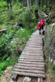 Rondins de bois du sentier vers le Stolz Ablass
