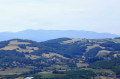 Rontalon