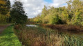 Around ponds in Wanstead Park