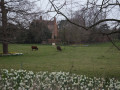 Geldeston Locks from Beccles