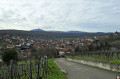 Rosenwiller et son vignoble