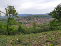 Rosenwiller