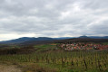 Du vignoble de Dorlisheim aux pelouses sèches de Rosenwiller