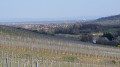 Rosheim et la vallée alsacienne Rosheim et la vallée alsacienne