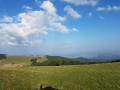 Sur les hauteurs entre les vallées de la Doller et la Thur Sur les hauteurs entre les vallées de la Doller et la Thur