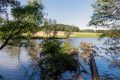 Rothenbürger Weiher