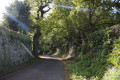 Route bois&eacute;e de la Fondation