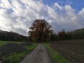 Route de Barbonval