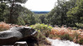 Route de Cardon I