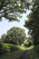 Route de Courtil