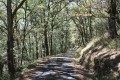 Route de la Bastide