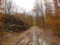 Route de Lieue Route de Lieue