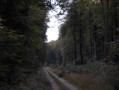 Route de Soreng