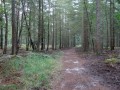 Route des Ventes Héron