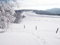 Petit tour du Ballon d'Alsace