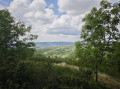 Route du bois d'Oingt