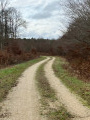 Route du Crot aux Sablons