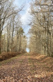 Route du Mauvais Crot