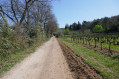 Route du retour