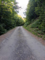 Route du retour