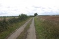 Route en direction de Riplet