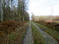 Les Ronds de Nagu et du Loup en Forêt Domaniale de Brotonne
