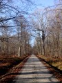 La Forêt de Rambouillet à vélo