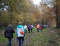 Route Forestière du Val Pâteux