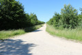 Route Forestière n°16