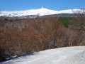 Route Forestiere de   Perrache   Mont Ventoux  sud