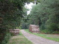 Route forestière Route forestière