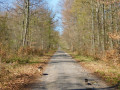 route forestière