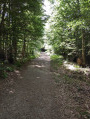 Route vers Mont Fourcat