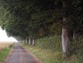 Route