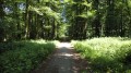 Routes des Princes