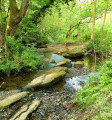 Rowarth river & moorland loop