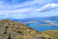Roys Peak Roys Peak