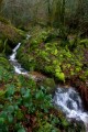 Ruisseau