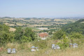 Ruches au-dessus de Chaussan Ruches au-dessus de Chaussan