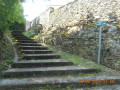 Rue du Quartier Latine