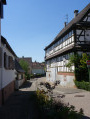 Runde entlang der Gärten in Seebach