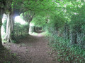 Le sentier des cours d'Ay et des choats à Vieux-Mesnil