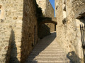 Ruelle