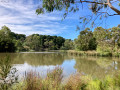 Ruffey Creek and lake